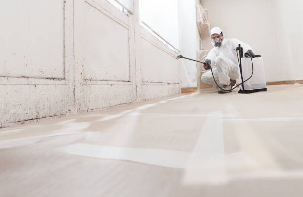 24/7 Emergency Bathroom Mold Removal experts in Ponte Vedra Beach, FL